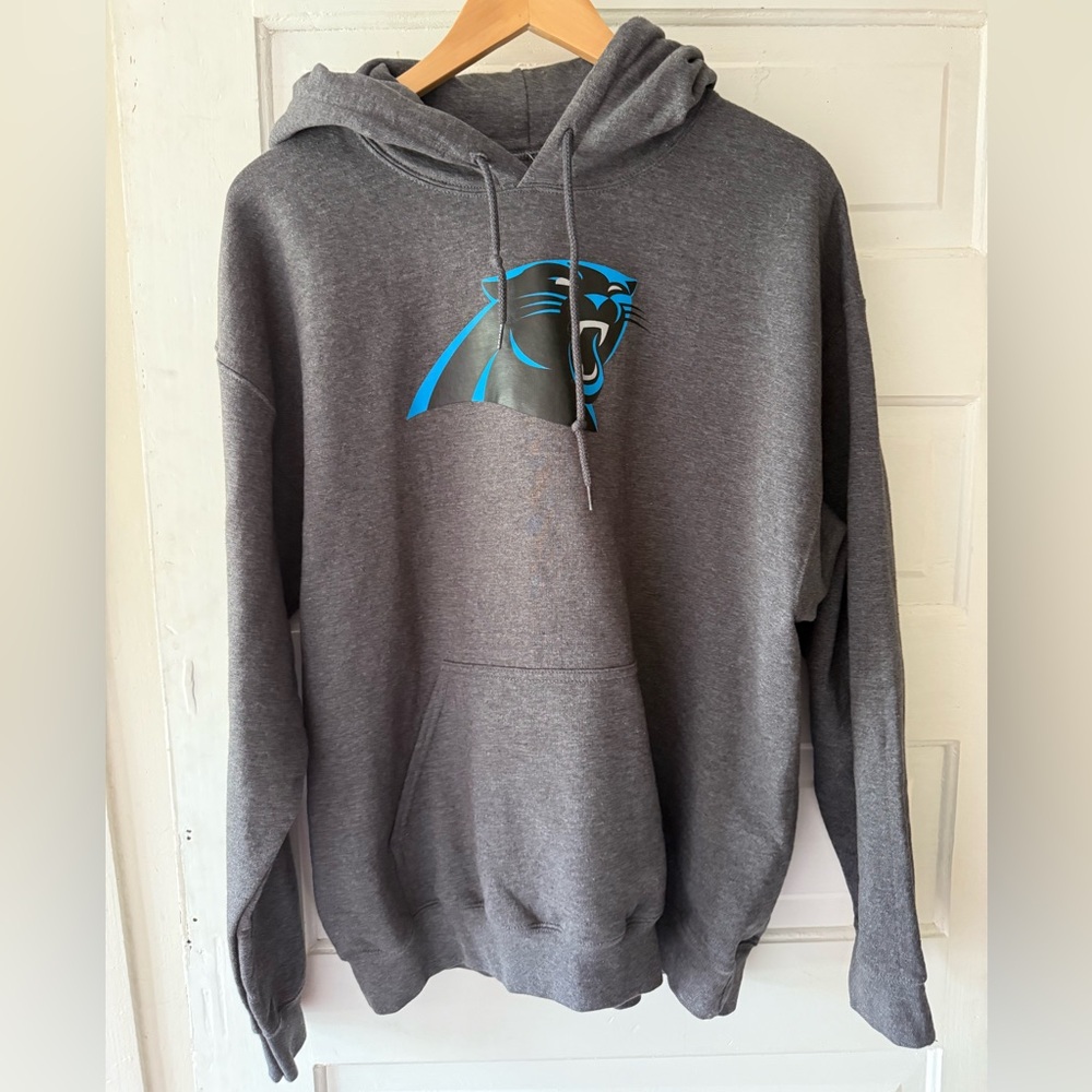NFL Dark Gray Panthers Hoodie